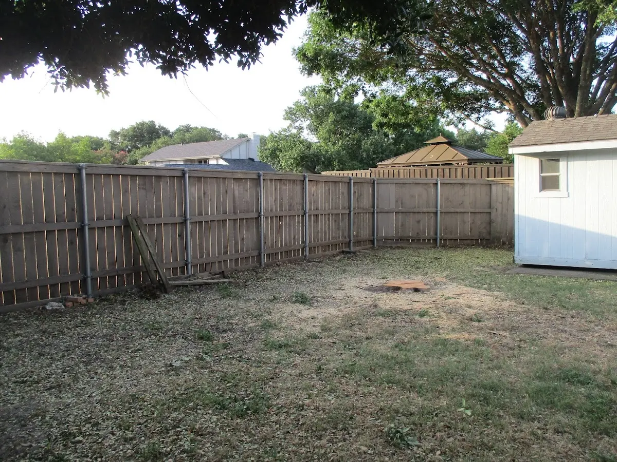 Cleared yard after professional tree removal in Carrollton